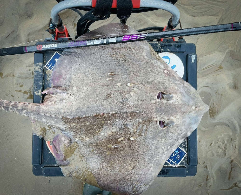 Akios AIRLYTE 355 Light Specialist Rod 11ft5 Sea Fishing Surf Rod Quick Delivery